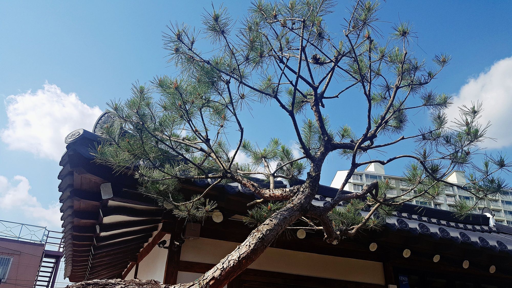 Misori Guesthouse Gwangju Metropolitan City Eksteriør bilde
